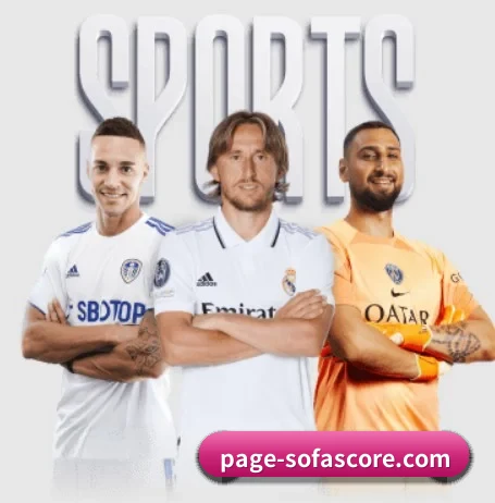 从比分速递到赛后复盘的完整链路 | sofascore